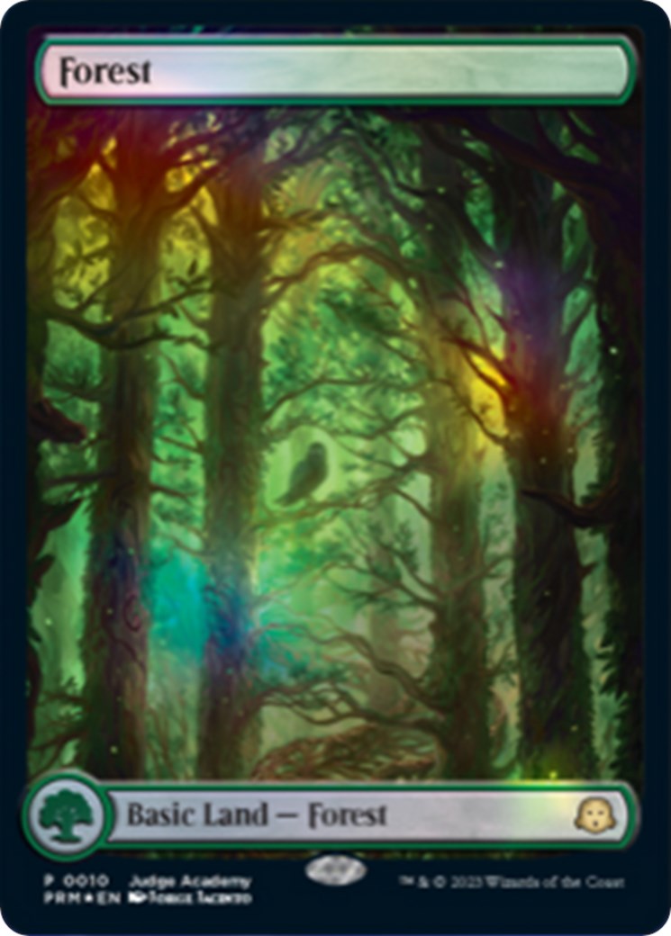 Forest [Judge Gift Cards 2023] | Cards and Coasters CA