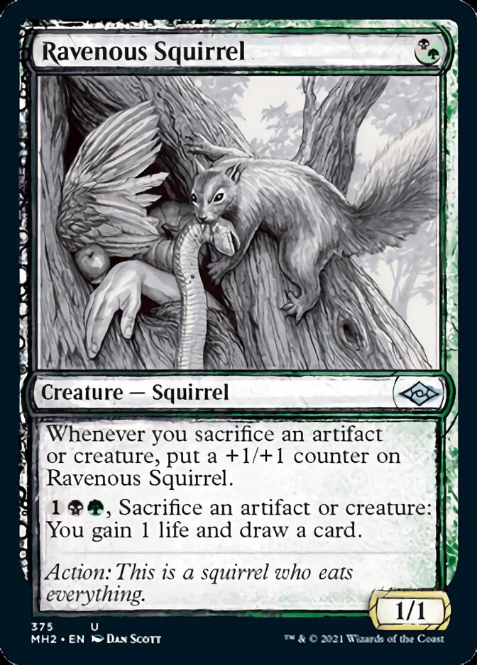 Ravenous Squirrel (Sketch) [Modern Horizons 2] | Cards and Coasters CA