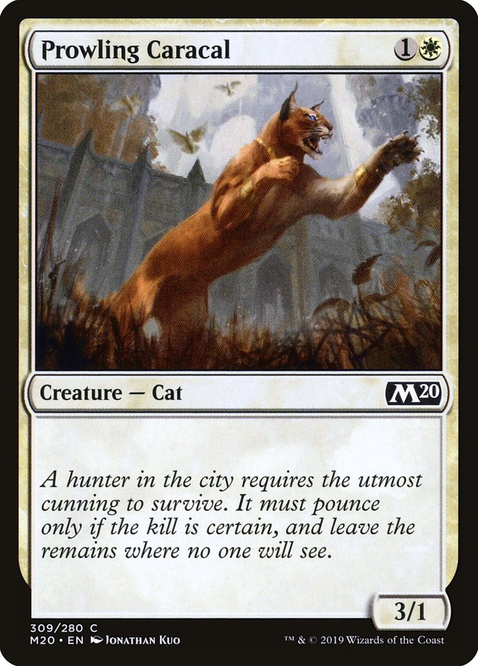 Prowling Caracal [Core Set 2020] | Cards and Coasters CA