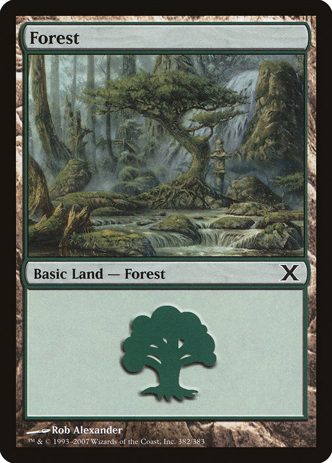 Forest (382) [Tenth Edition] | Cards and Coasters CA