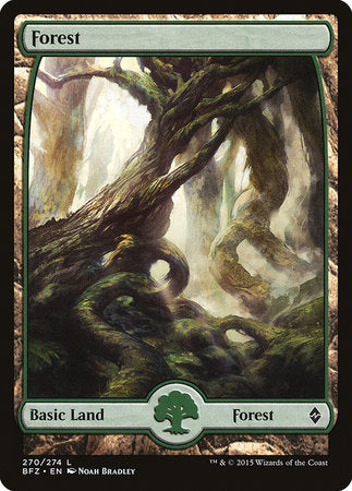 Forest (270) - Full Art [Battle for Zendikar] | Cards and Coasters CA