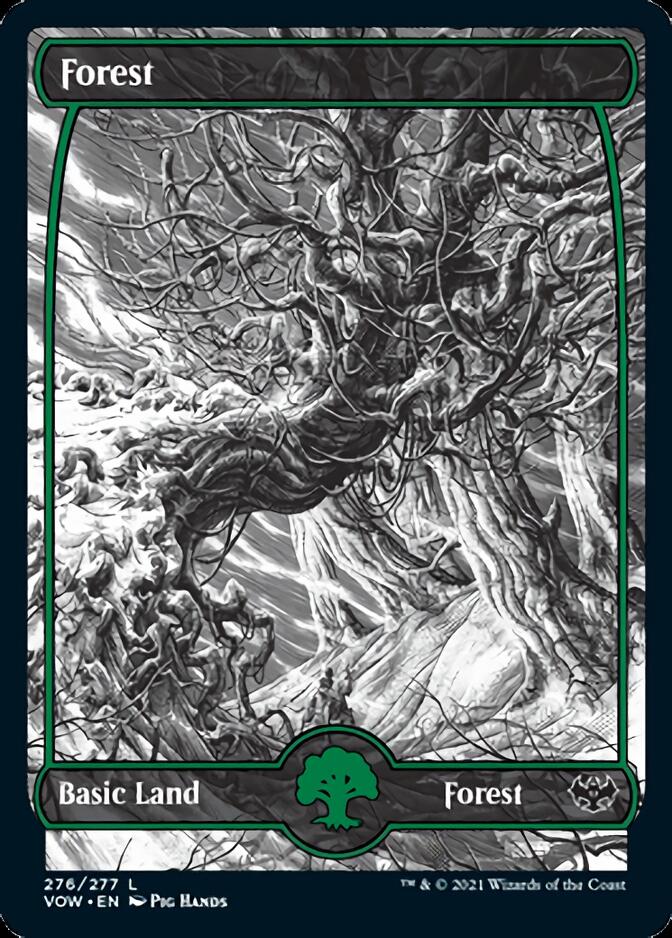 Forest (276) [Innistrad: Crimson Vow] | Cards and Coasters CA