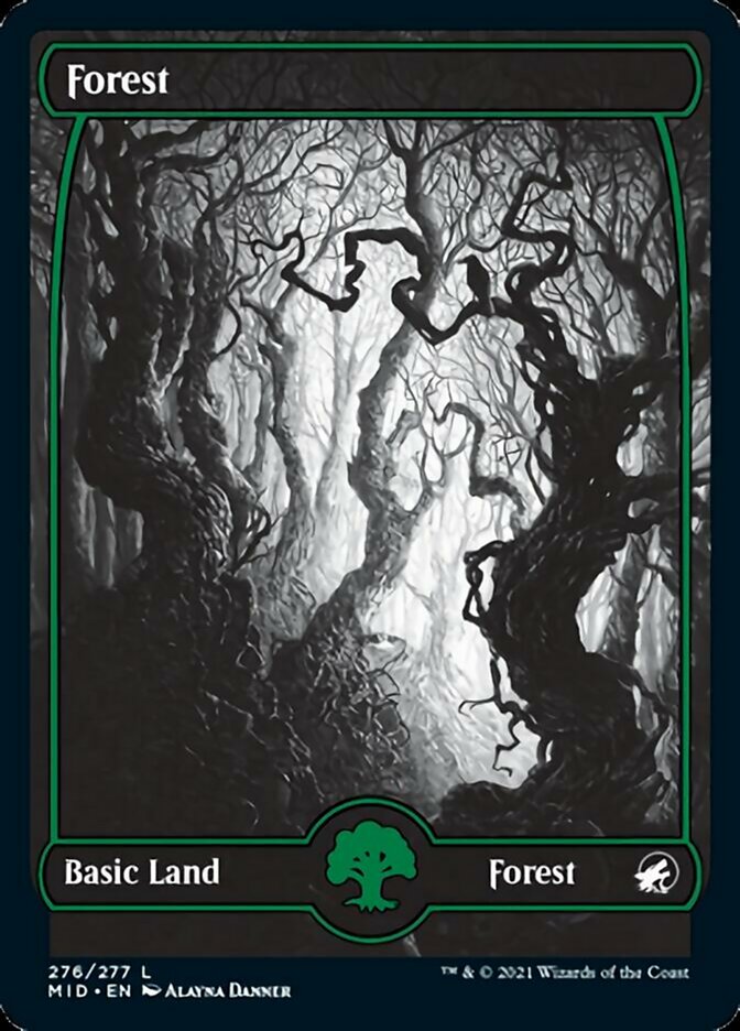 Forest (276) [Innistrad: Midnight Hunt] | Cards and Coasters CA