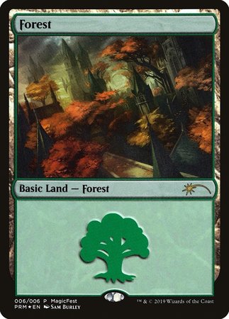 Forest (2019) [MagicFest 2019] | Cards and Coasters CA