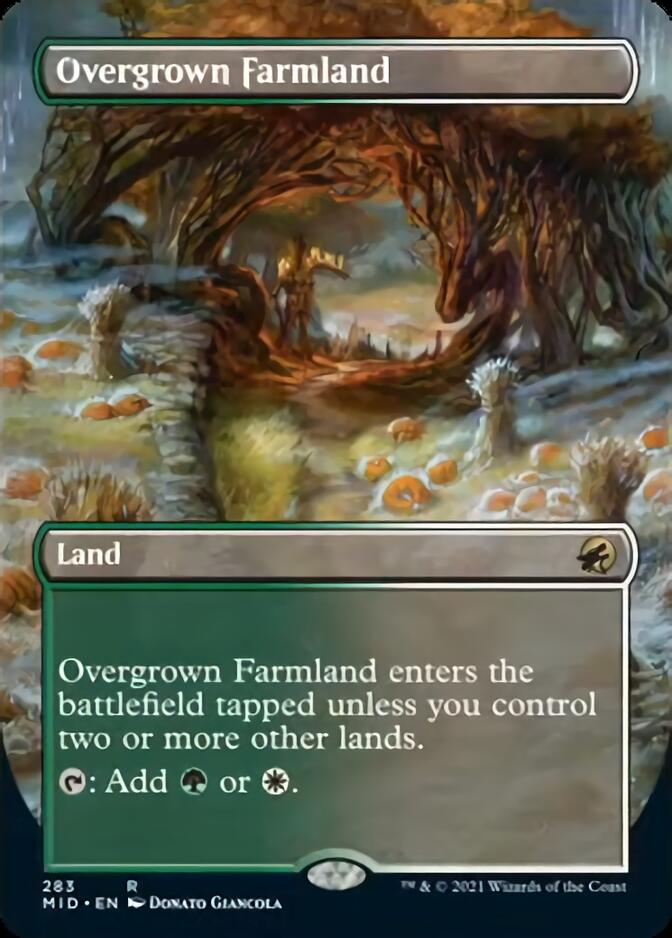 Overgrown Farmland (Borderless) [Innistrad: Midnight Hunt] | Cards and Coasters CA