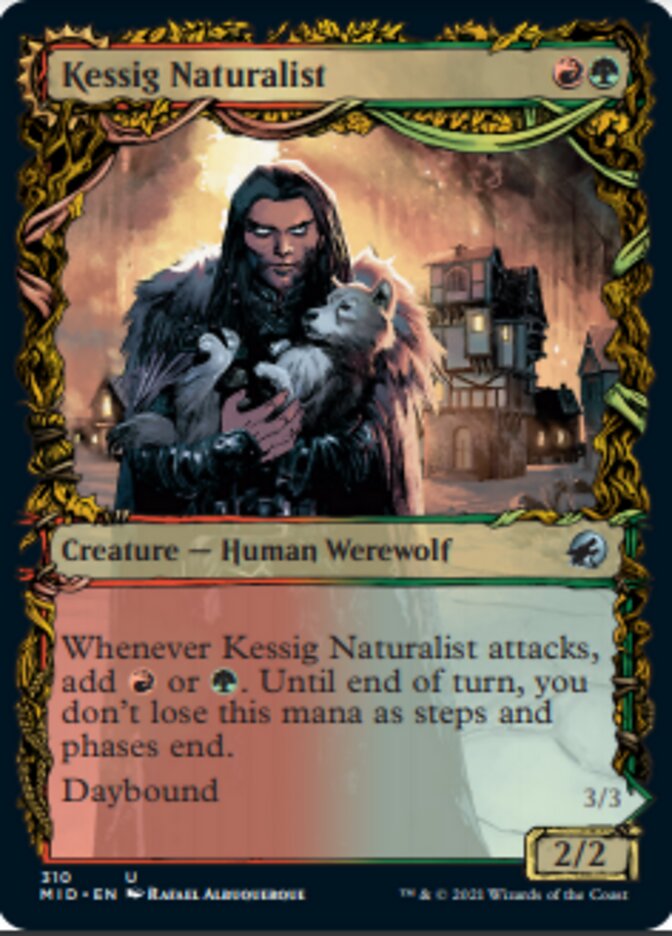 Kessig Naturalist // Lord of the Ulvenwald (Showcase Equinox) [Innistrad: Midnight Hunt] | Cards and Coasters CA