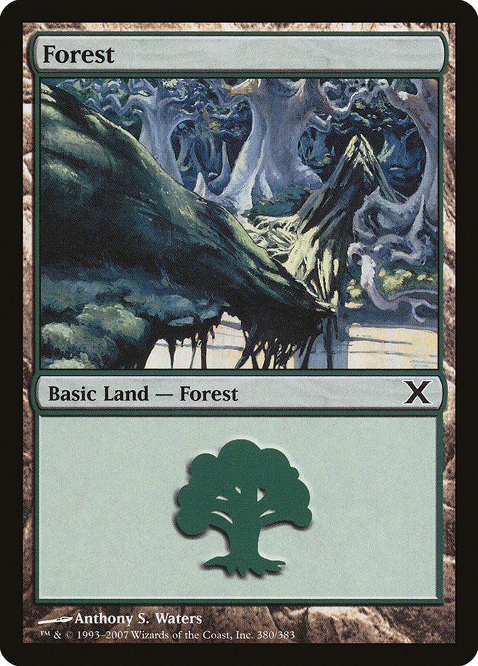 Forest (380) [Tenth Edition] | Cards and Coasters CA