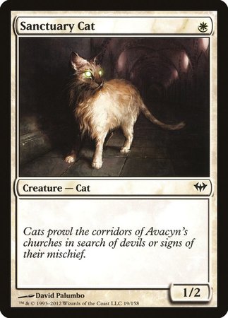 Sanctuary Cat [Dark Ascension] | Cards and Coasters CA