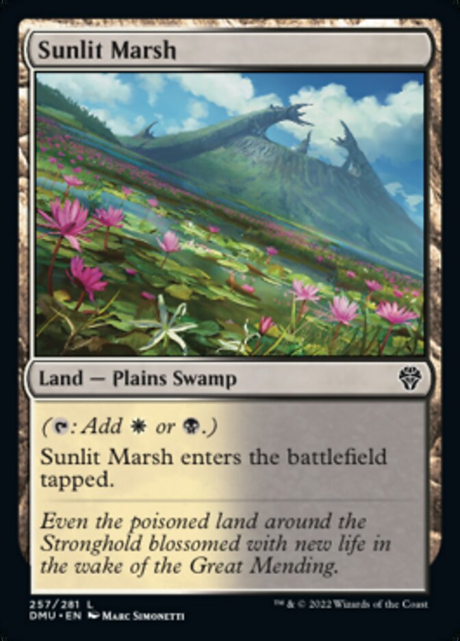Sunlit Marsh [Dominaria United] | Cards and Coasters CA