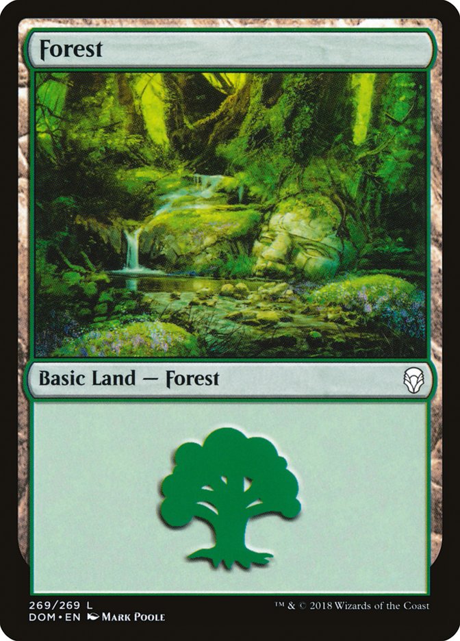 Forest (269) [Dominaria] | Cards and Coasters CA
