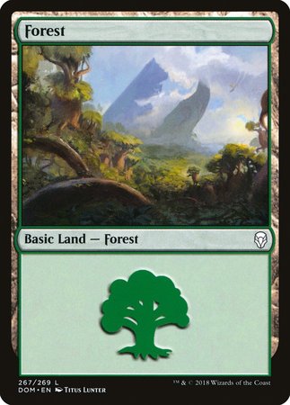 Forest (267) [Dominaria] | Cards and Coasters CA