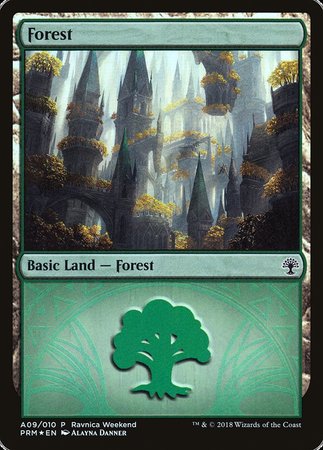 Forest - Selesnya (A09) [GRN Ravnica Weekend] | Cards and Coasters CA