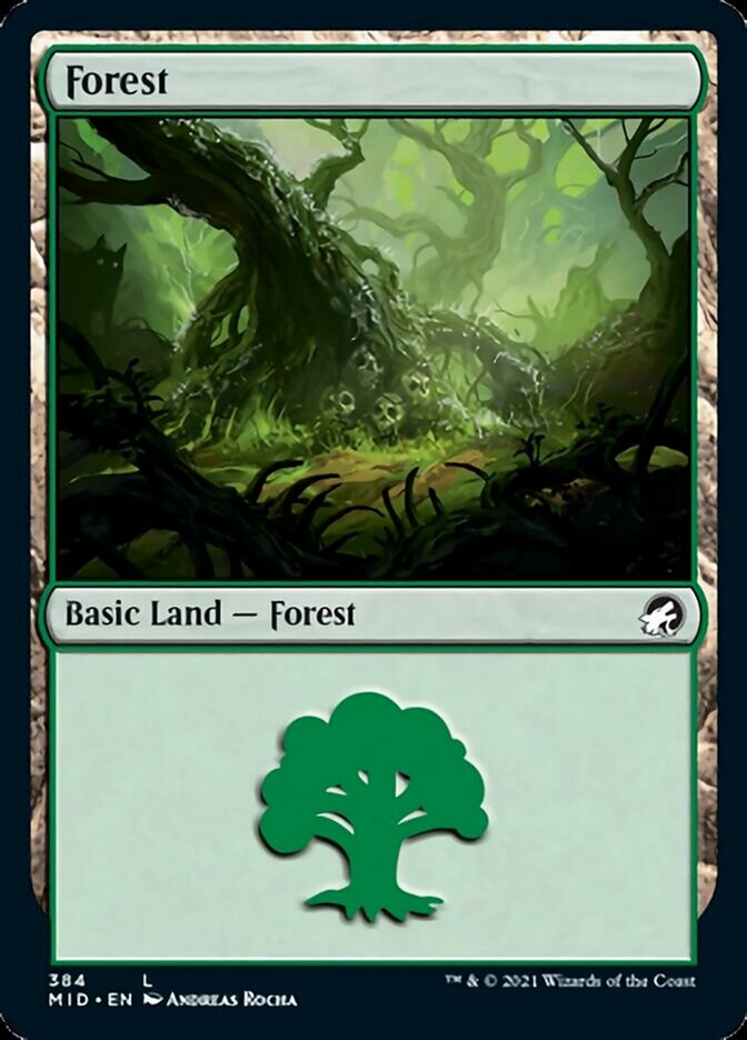 Forest (384) [Innistrad: Midnight Hunt] | Cards and Coasters CA