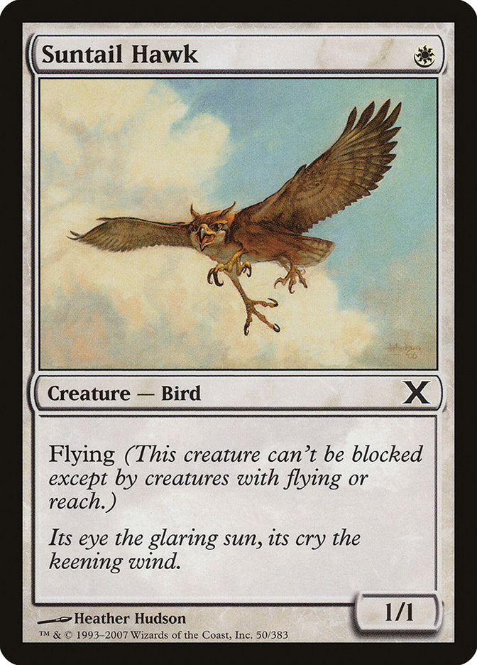 Suntail Hawk [Tenth Edition] | Cards and Coasters CA