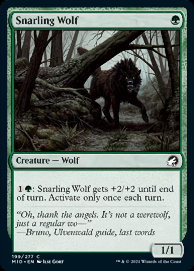 Snarling Wolf [Innistrad: Midnight Hunt] | Cards and Coasters CA