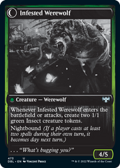 Infestation Expert // Infested Werewolf [Innistrad: Double Feature] | Cards and Coasters CA