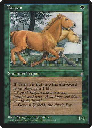 Tarpan [Ice Age] | Cards and Coasters CA