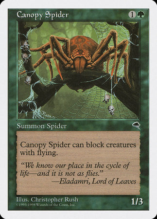 Canopy Spider [Anthologies] | Cards and Coasters CA