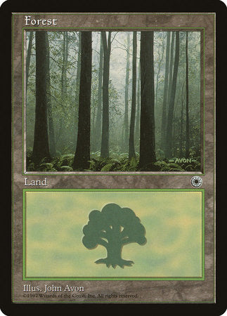 Forest (Ferns on Ground) [Portal] | Cards and Coasters CA