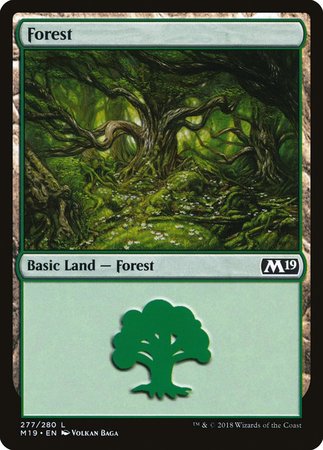 Forest (277) [Core Set 2019] | Cards and Coasters CA