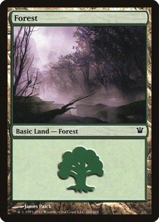 Forest (262) [Innistrad] | Cards and Coasters CA