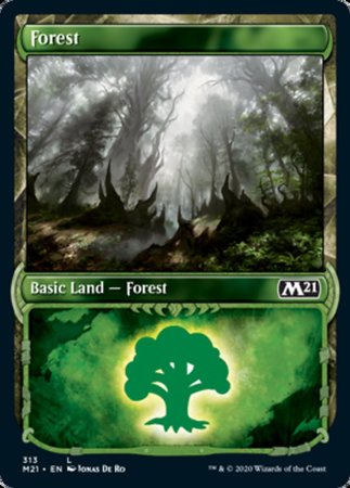 Forest (Showcase) [Core Set 2021] | Cards and Coasters CA