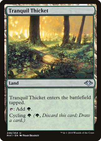 Tranquil Thicket [Modern Horizons] | Cards and Coasters CA