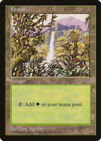 Forest (Waterfall) [Mirage] | Cards and Coasters CA