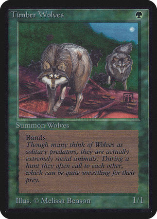 Timber Wolves [Limited Edition Alpha] | Cards and Coasters CA