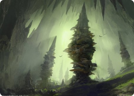 Forest (280) Art Card [Dungeons & Dragons: Adventures in the Forgotten Realms Art Series] | Cards and Coasters CA