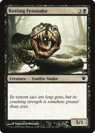 Rotting Fensnake [Innistrad] | Cards and Coasters CA