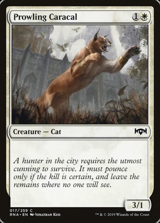 Prowling Caracal [Ravnica Allegiance] | Cards and Coasters CA