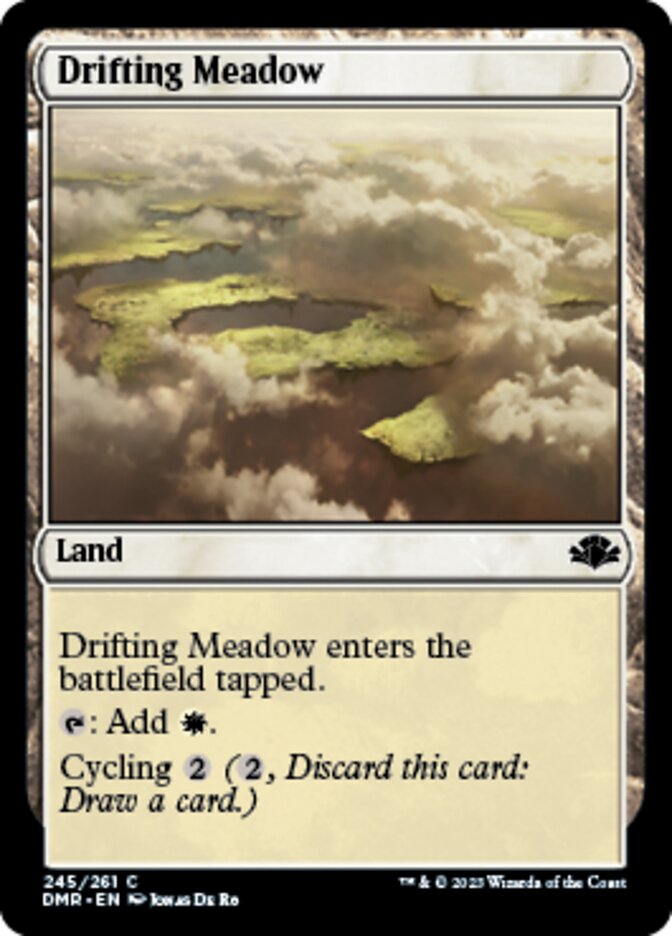 Drifting Meadow [Dominaria Remastered] | Cards and Coasters CA