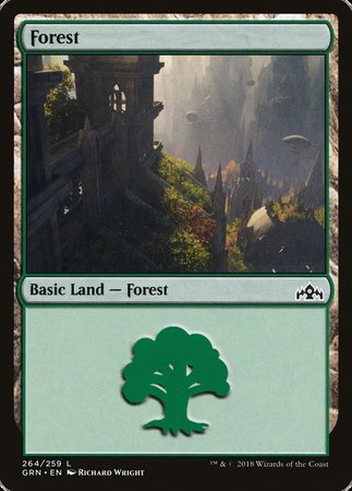 Forest [Guilds of Ravnica] | Cards and Coasters CA