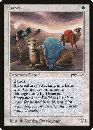 Camel [Arabian Nights] | Cards and Coasters CA