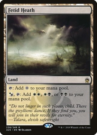 Fetid Heath [Masters 25] | Cards and Coasters CA