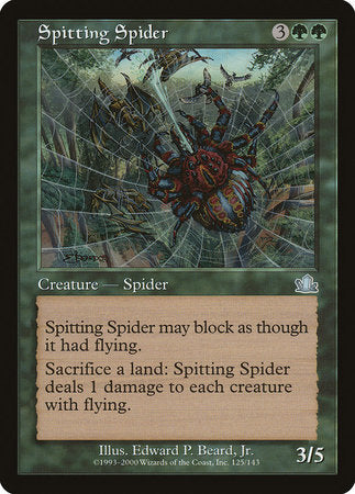 Spitting Spider [Prophecy] | Cards and Coasters CA