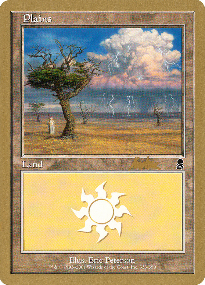 Plains (bk333) (Brian Kibler) [World Championship Decks 2002] | Cards and Coasters CA