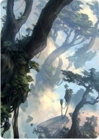 Forest 1 Art Card [Zendikar Rising Art Series] | Cards and Coasters CA