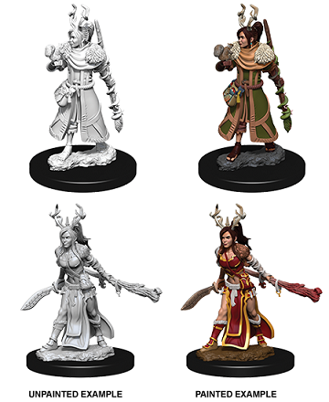 D&D Nolzur's Marvelous Miniatures Human Druid | Cards and Coasters CA