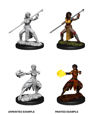 D&D Nolzur's Marvelous Miniatures Half Elf Monk | Cards and Coasters CA