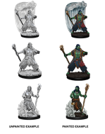 D&D Nolzur's Marvelous Miniatures Water Genasi Druid | Cards and Coasters CA