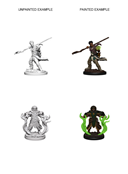 D&D Nolzur's Marvelous Miniatures Human Druid | Cards and Coasters CA