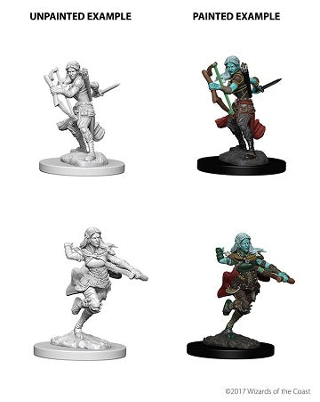 D&D Nolzur's Marvelous Miniatures Air Genasi Rogue | Cards and Coasters CA