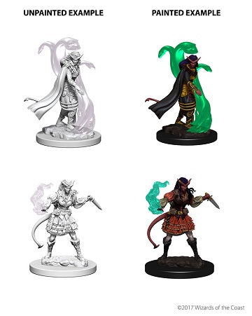 D&D Nolzur's Marvelous Miniatures Tiefling Sorceror | Cards and Coasters CA