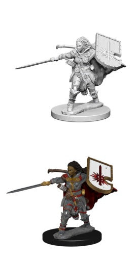 D&D Deep Cuts Miniatures Human Female Paladin | Cards and Coasters CA