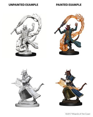 D&D Nolzur's Marvelous Miniatures Tiefling Sorcerer | Cards and Coasters CA