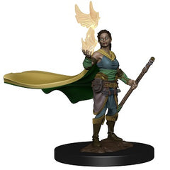 Icon of the Realms Premium Miniature Elf Druid | Cards and Coasters CA